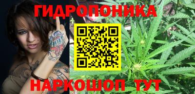 ПСИЛОЦИБИНОВЫЕ ГРИБЫ Мариинск