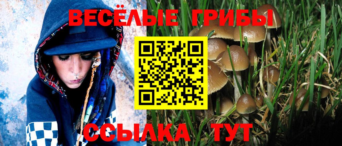 Галлюциногенные грибы ЛСД Горячий Ключ
