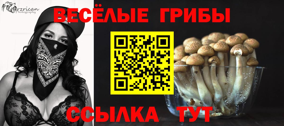 Галлюциногенные грибы мицелий  Вход с VPN  наркошоп  Горячий Ключ  Псилоцибиновые грибы GOLDEN TEACHER 